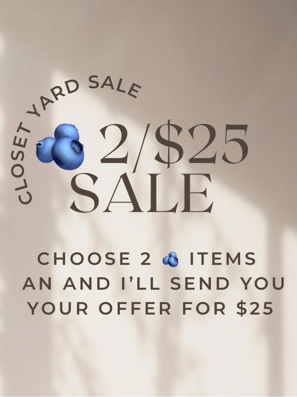 Closet Yard Sale - find the 🫐 and have 2 items for $25
